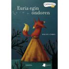 Euria egin ondoren