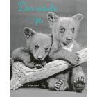 Dos ossets