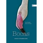 Bocas