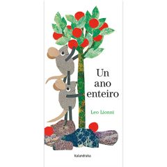 Un ano enteiro