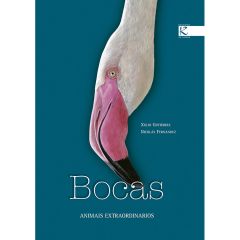 Bocas